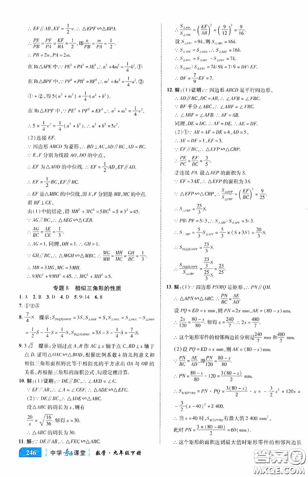 世紀(jì)英才中學(xué)奇跡課堂2020中考專題總復(fù)習(xí)九年級數(shù)學(xué)下冊人教版教材答案