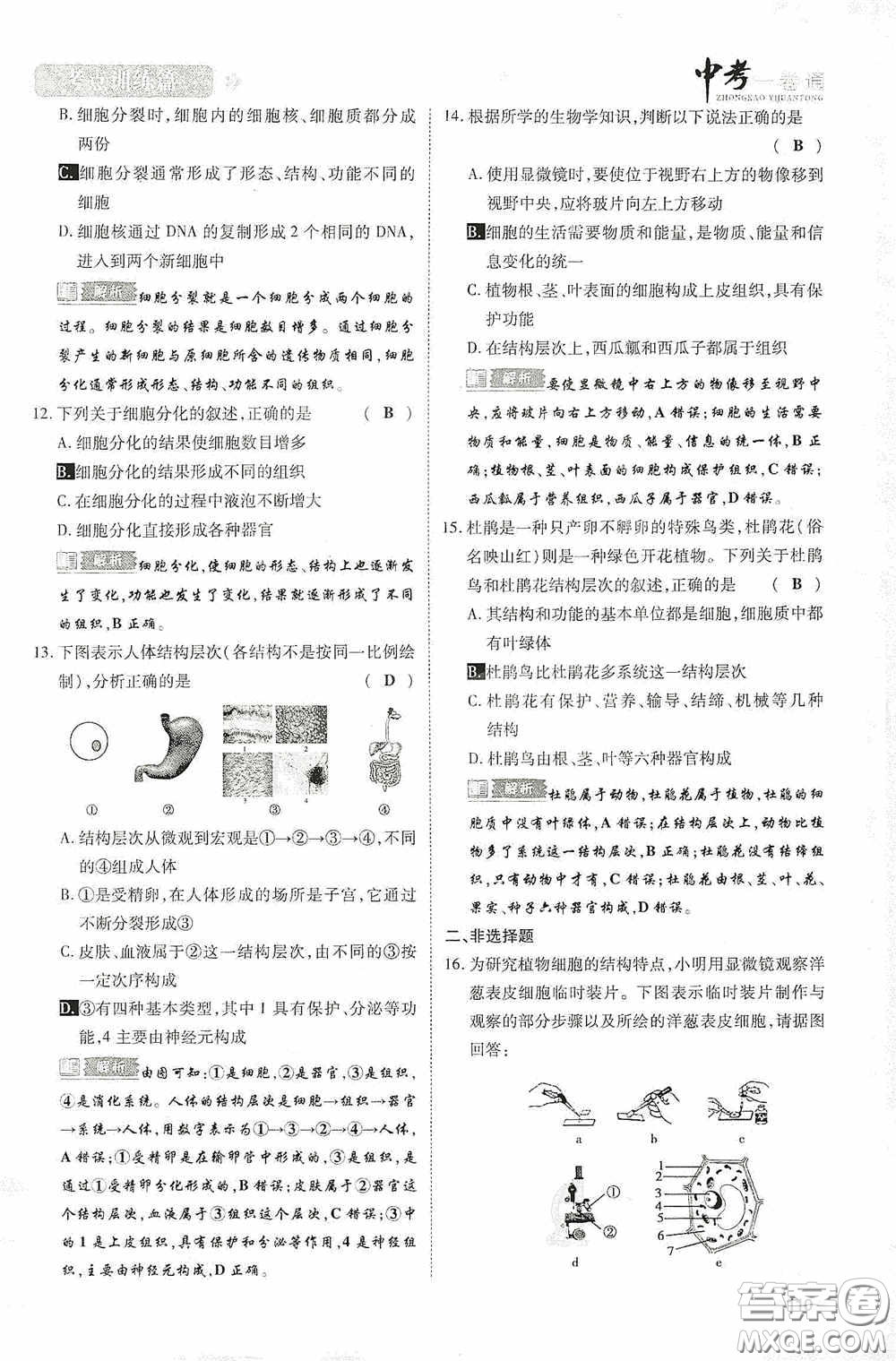 2020中考一卷通考點訓(xùn)練篇生物6篇訓(xùn)練答案