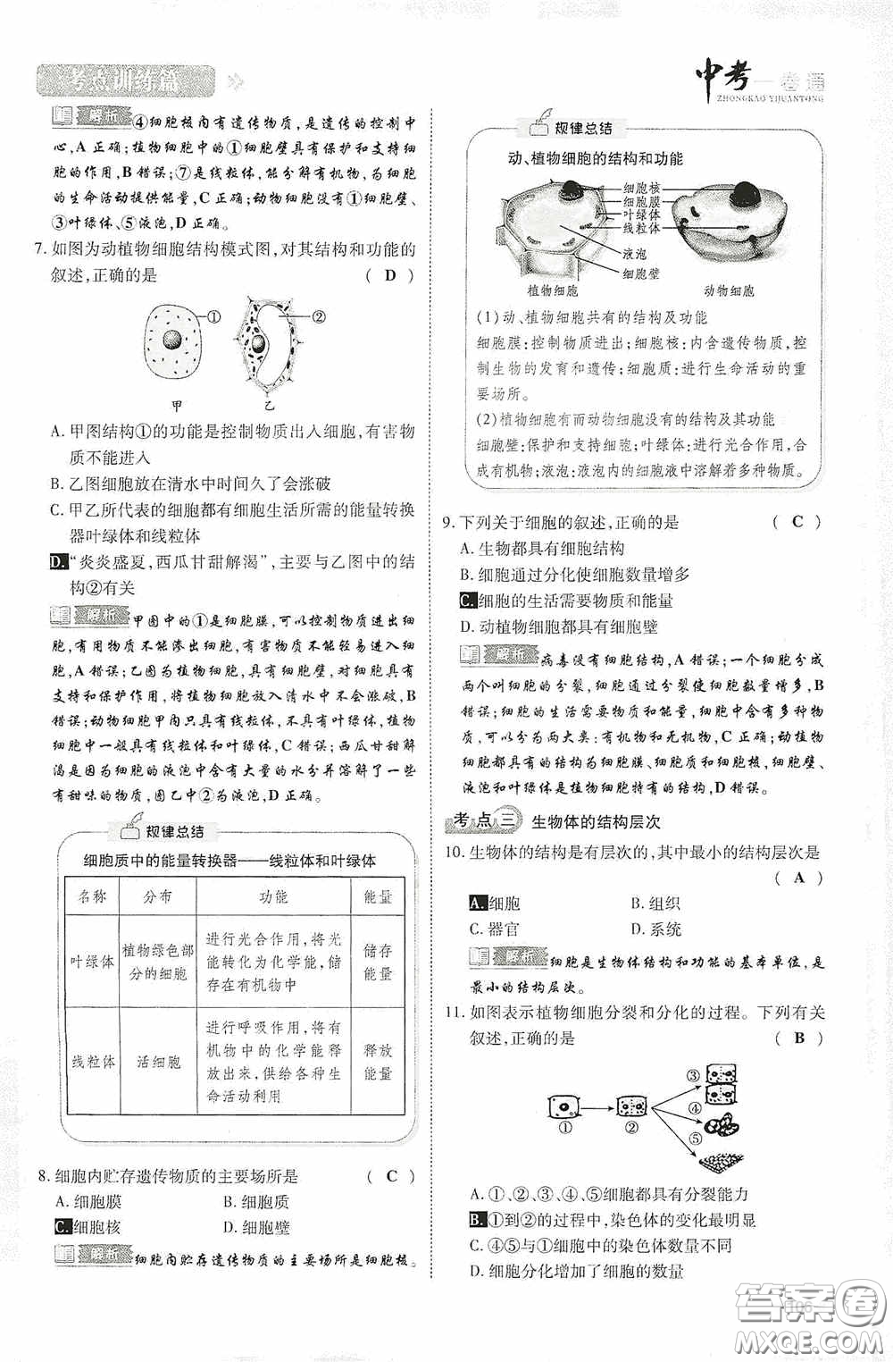 2020中考一卷通考點訓(xùn)練篇生物6篇訓(xùn)練答案