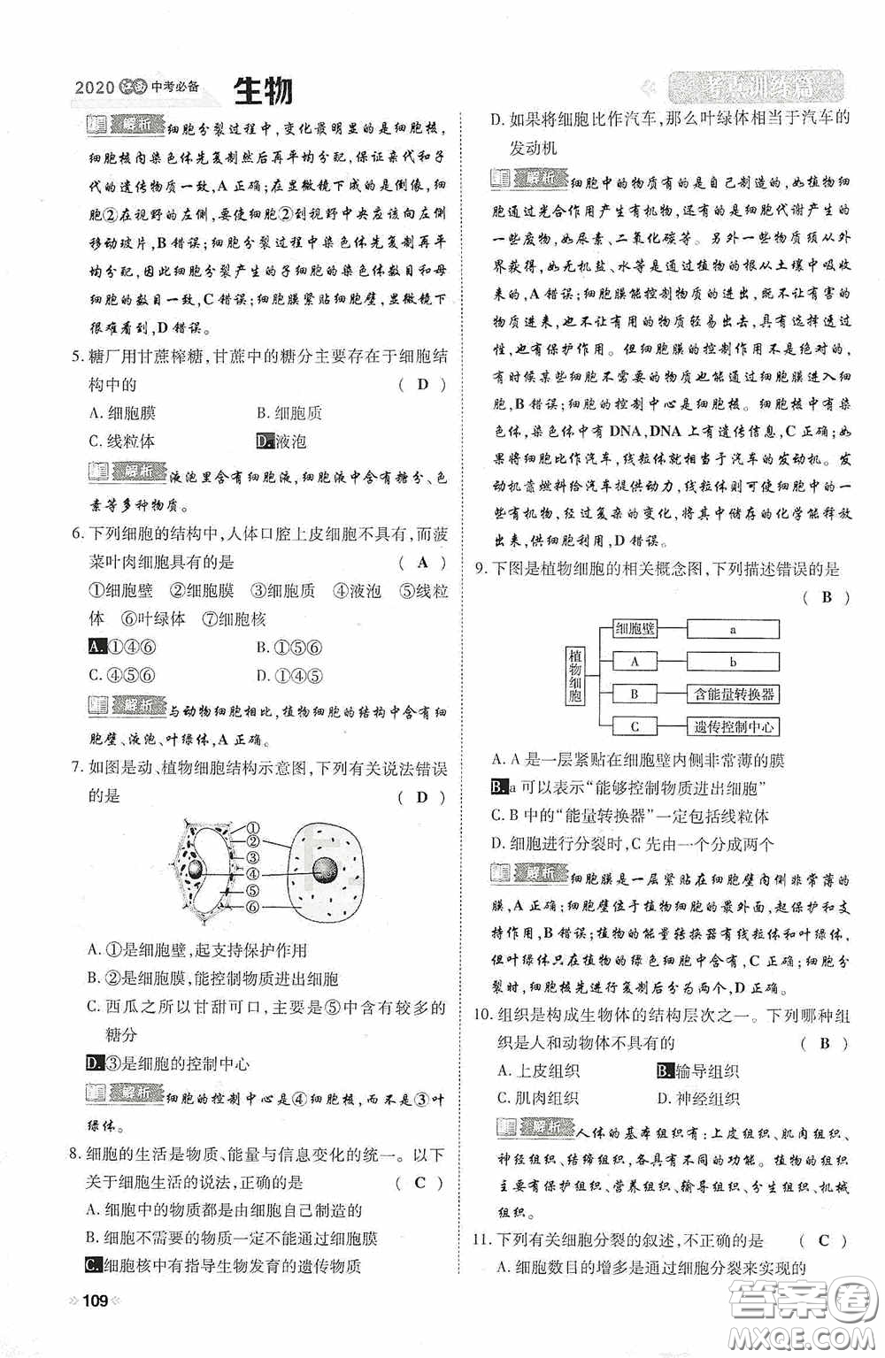 2020中考一卷通考點訓(xùn)練篇生物6篇訓(xùn)練答案