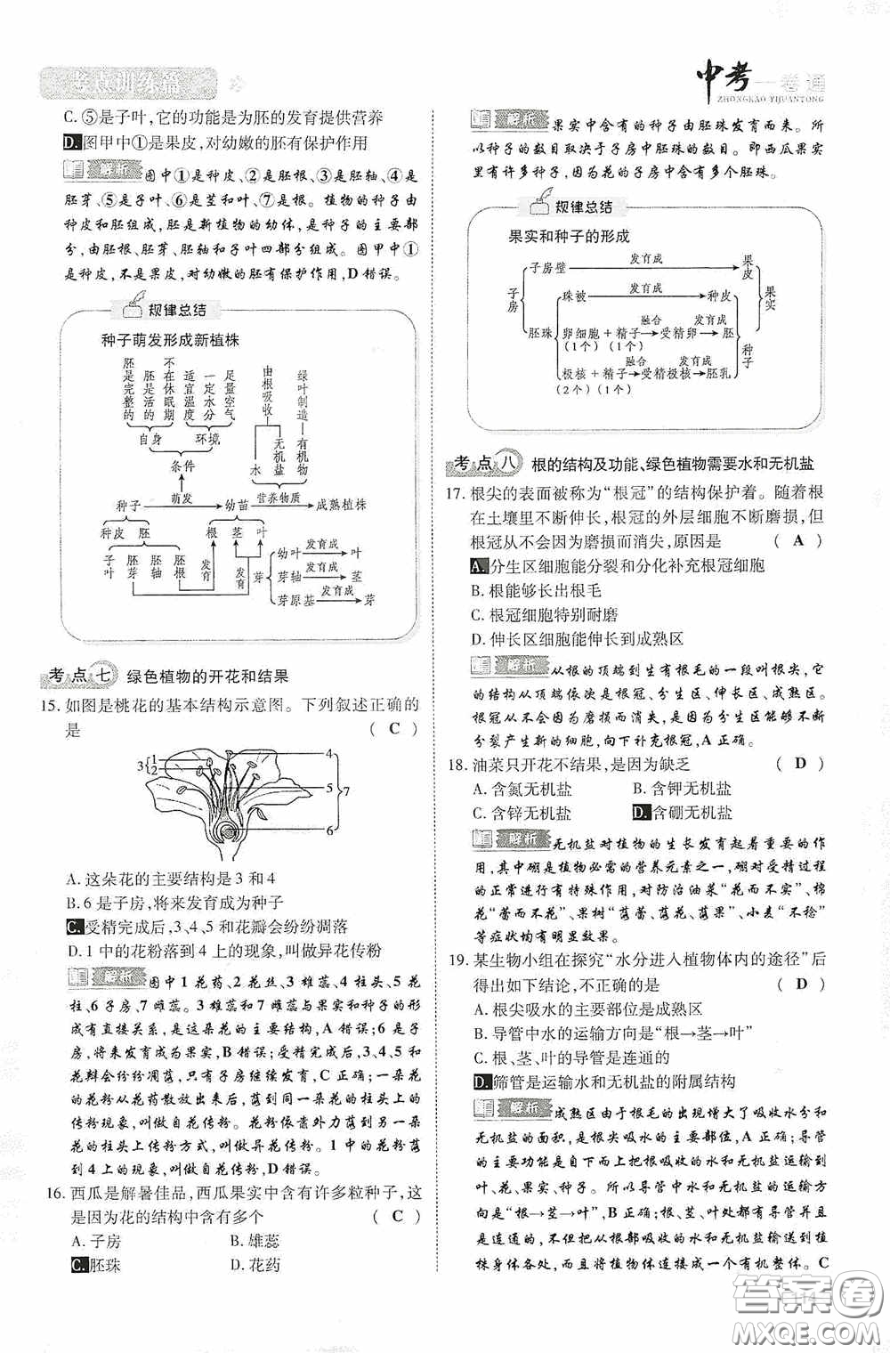 2020中考一卷通考點訓(xùn)練篇生物6篇訓(xùn)練答案