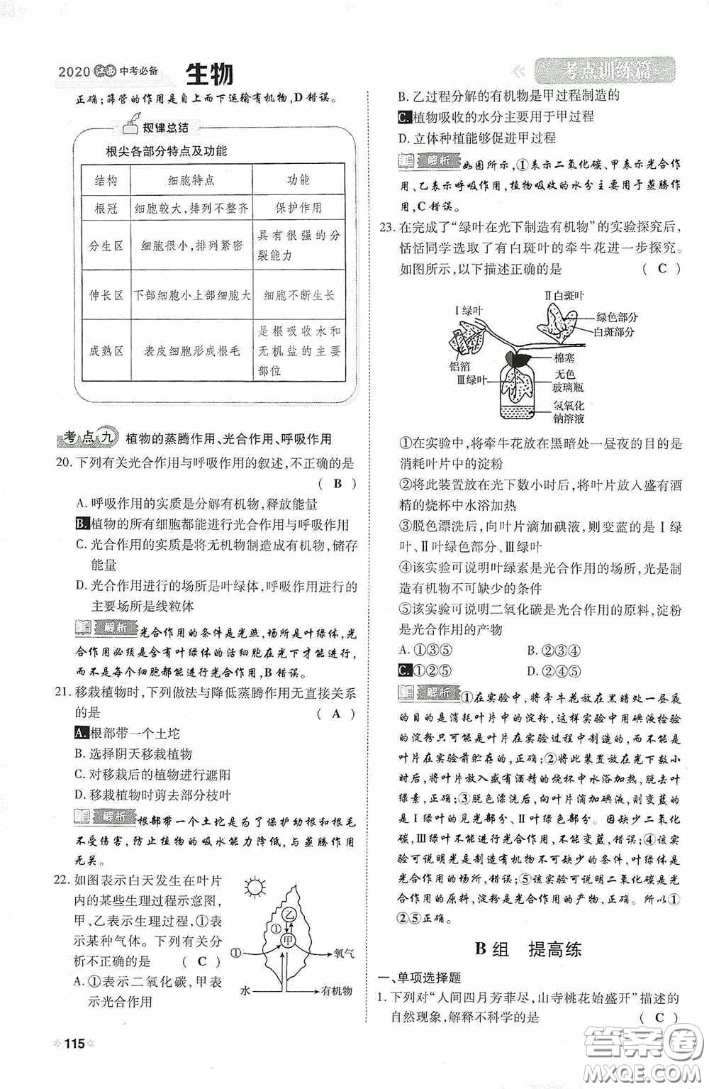 2020中考一卷通考點訓(xùn)練篇生物6篇訓(xùn)練答案