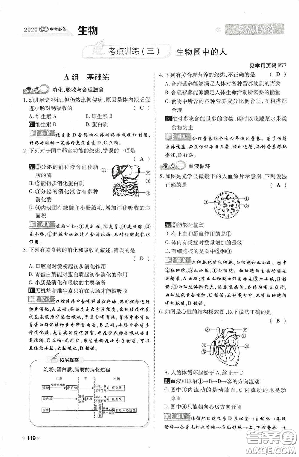 2020中考一卷通考點訓(xùn)練篇生物6篇訓(xùn)練答案