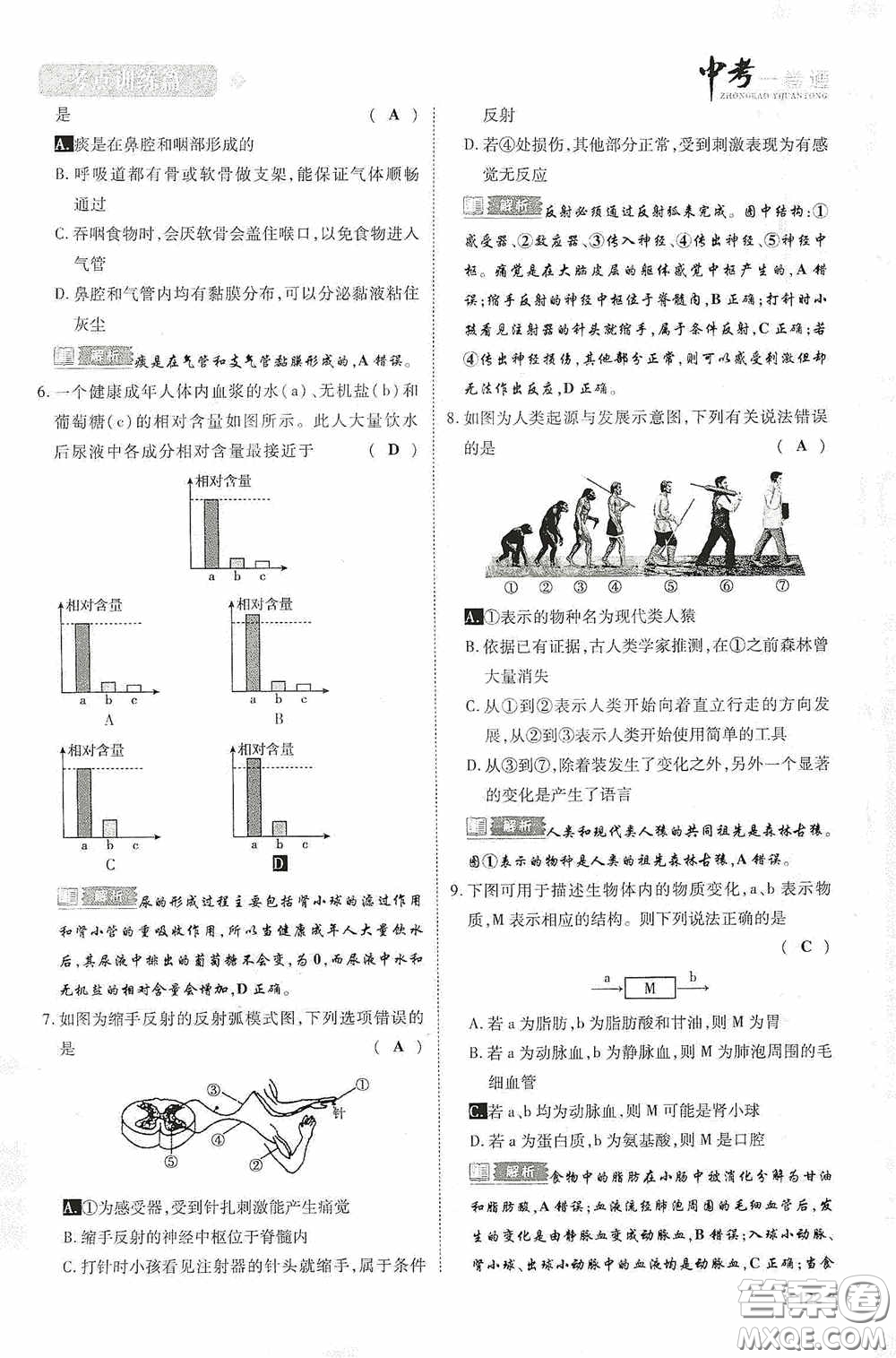 2020中考一卷通考點訓(xùn)練篇生物6篇訓(xùn)練答案