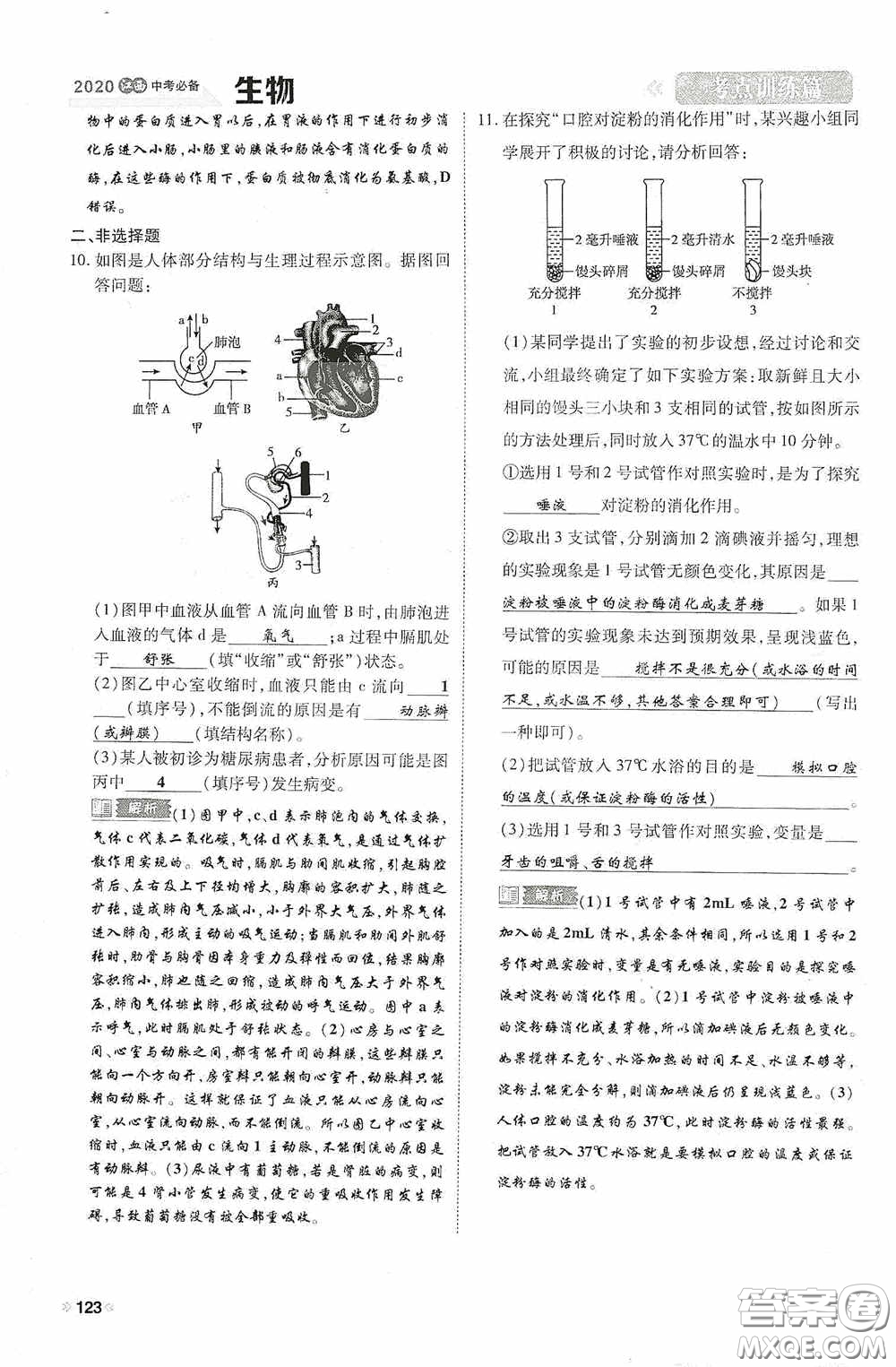 2020中考一卷通考點訓(xùn)練篇生物6篇訓(xùn)練答案