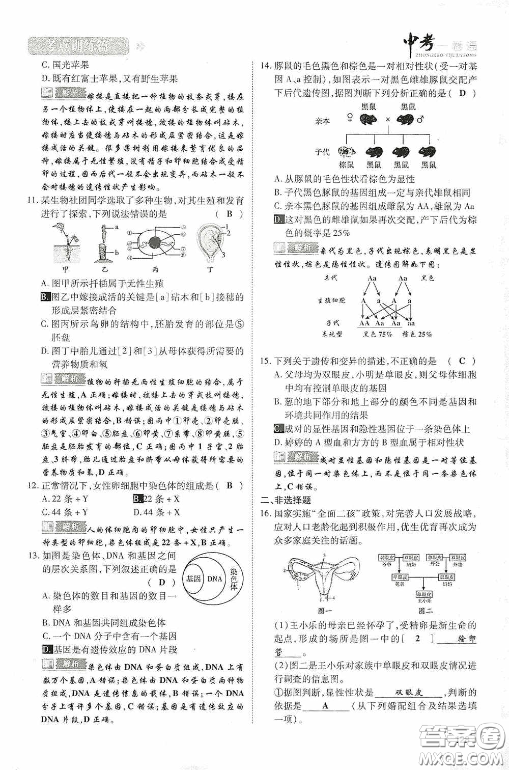 2020中考一卷通考點訓(xùn)練篇生物6篇訓(xùn)練答案