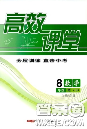 新疆青少年出版社2020高效課堂八年級(jí)數(shù)學(xué)下冊(cè)人教版答案