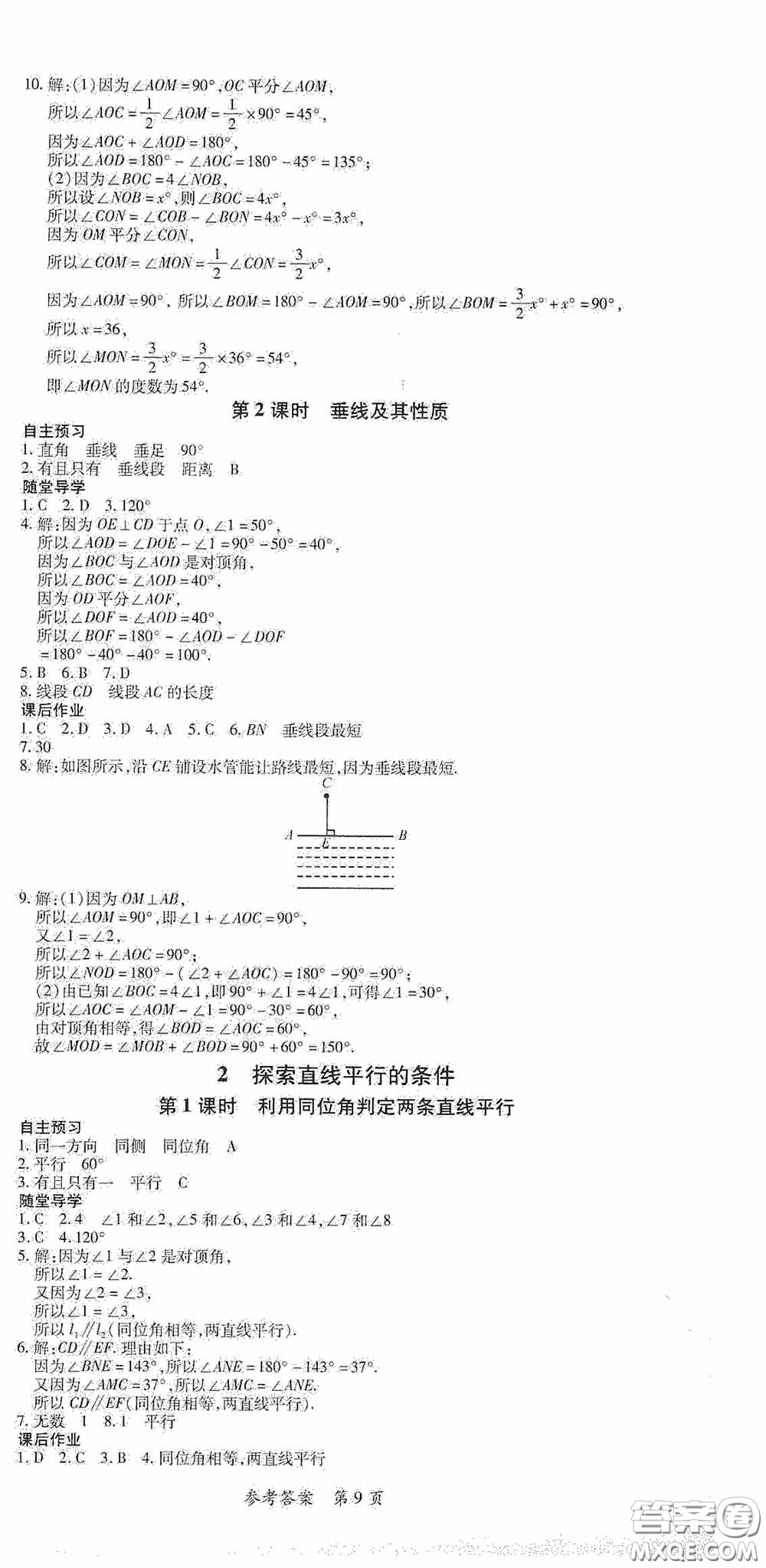 新疆青少年出版社2020高效課堂七年級數(shù)學下冊北師大版答案