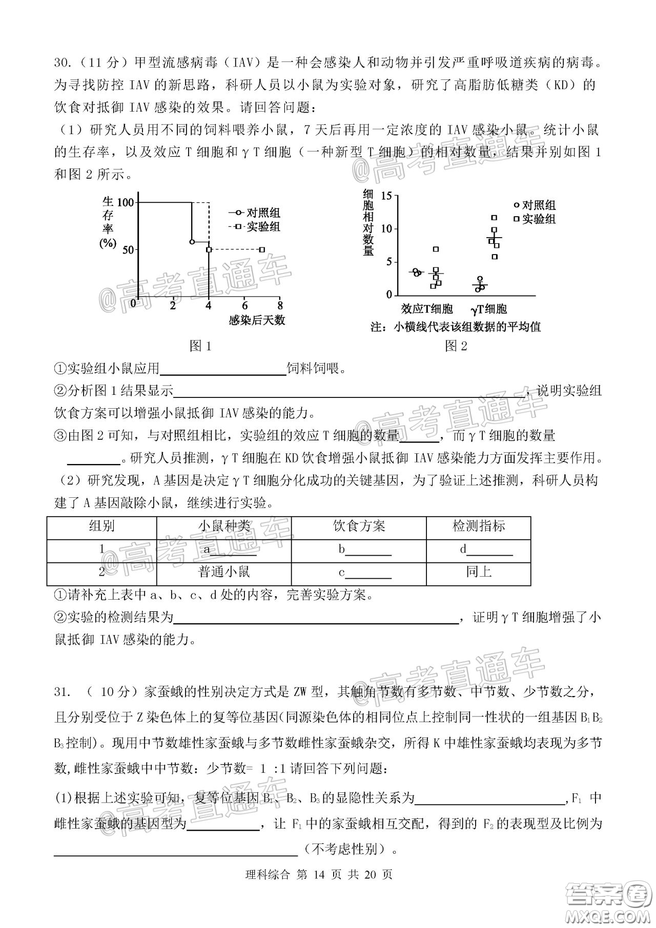 2020年河北衡水中學(xué)高三下九調(diào)研考試?yán)砭C試題及答案