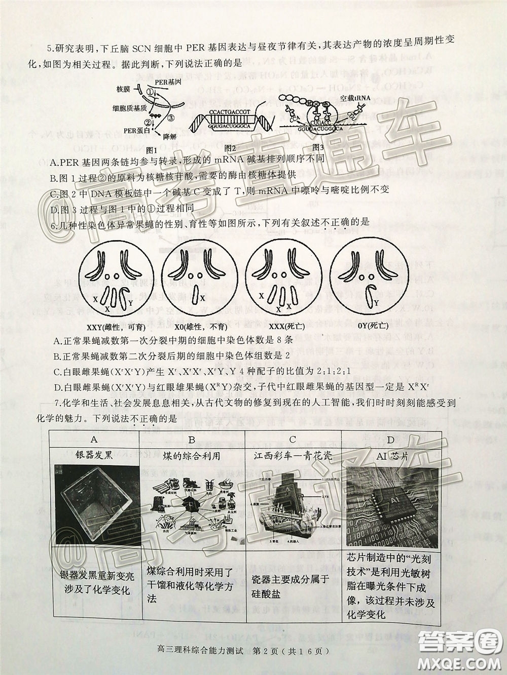 2020年河南省六市高三第一次模擬調研理綜試題答案