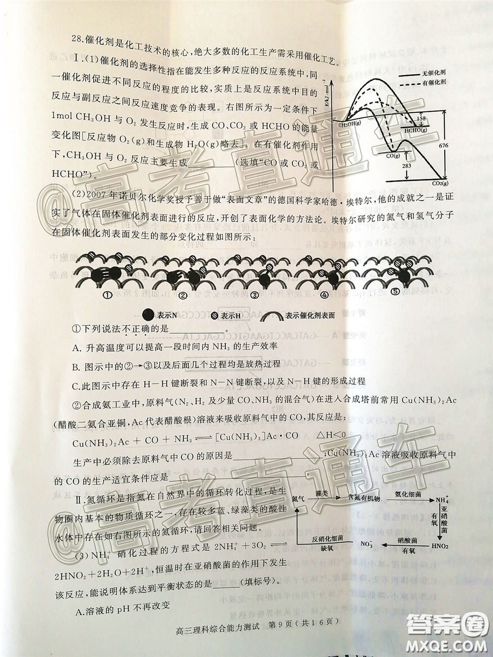 2020年河南省六市高三第一次模擬調研理綜試題答案