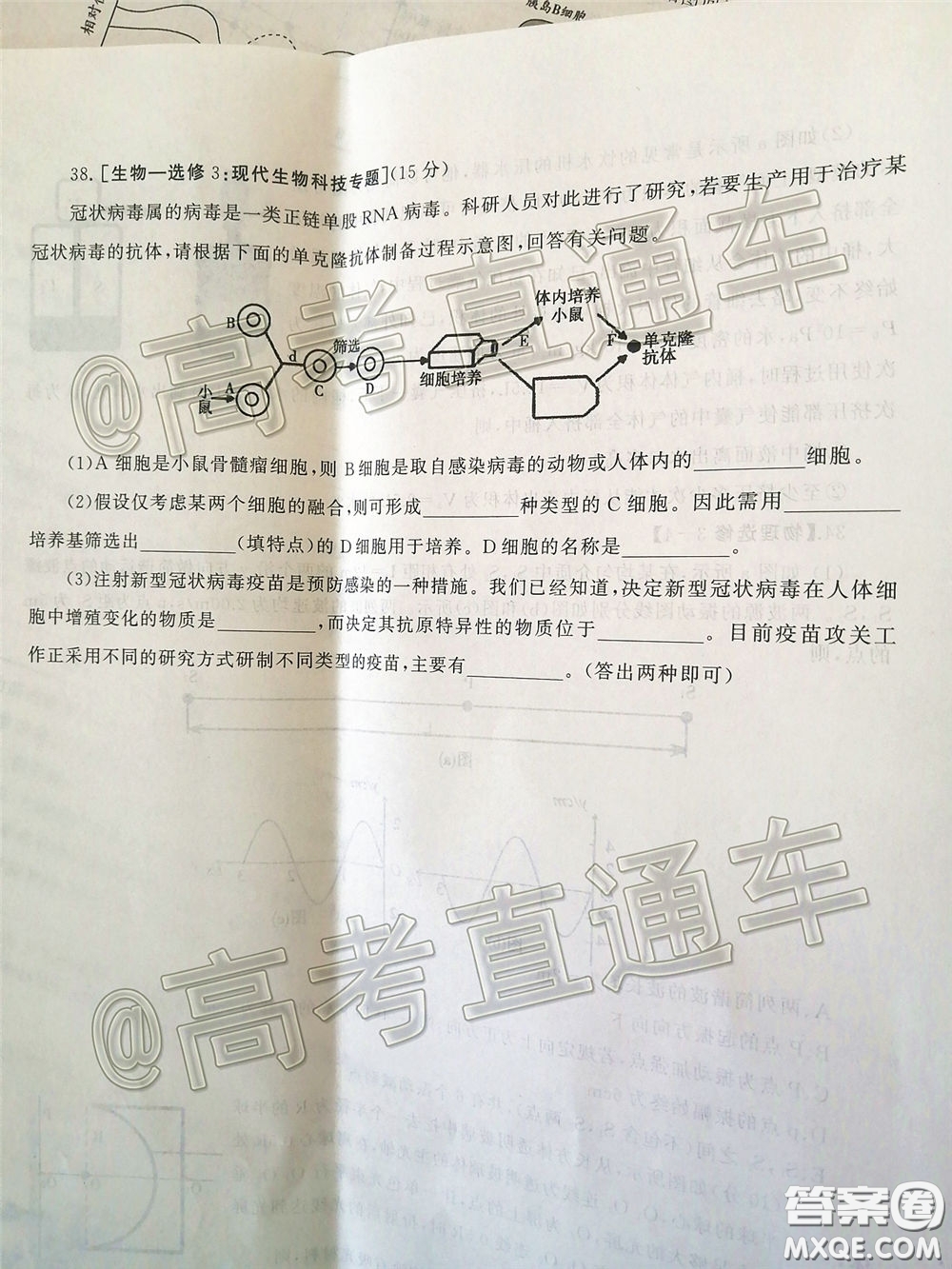 2020年河南省六市高三第一次模擬調研理綜試題答案