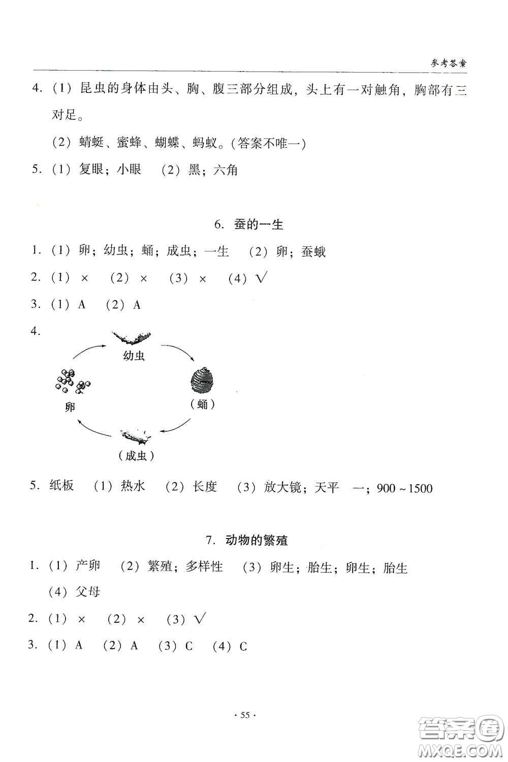 教育科學(xué)出版社2020優(yōu)質(zhì)課堂導(dǎo)學(xué)練三年級科學(xué)下冊教科版答案