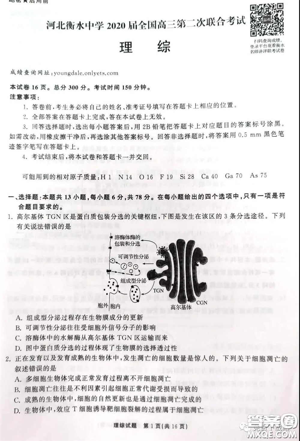 河北衡水中學(xué)2020屆全國(guó)高三第二次聯(lián)合考試?yán)砭C答案