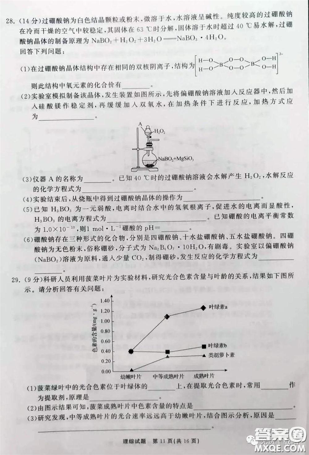 河北衡水中學(xué)2020屆全國(guó)高三第二次聯(lián)合考試?yán)砭C答案