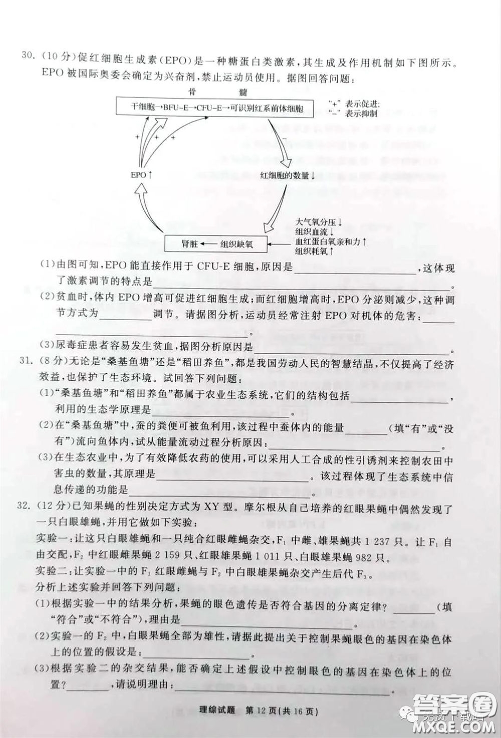 河北衡水中學(xué)2020屆全國(guó)高三第二次聯(lián)合考試?yán)砭C答案