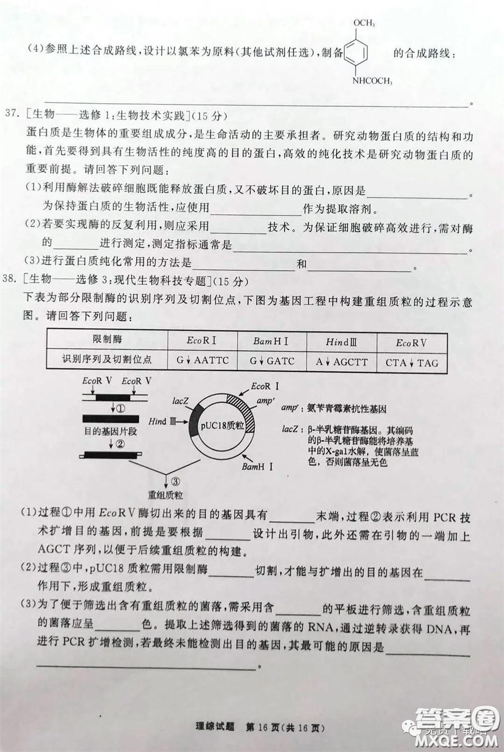 河北衡水中學(xué)2020屆全國(guó)高三第二次聯(lián)合考試?yán)砭C答案