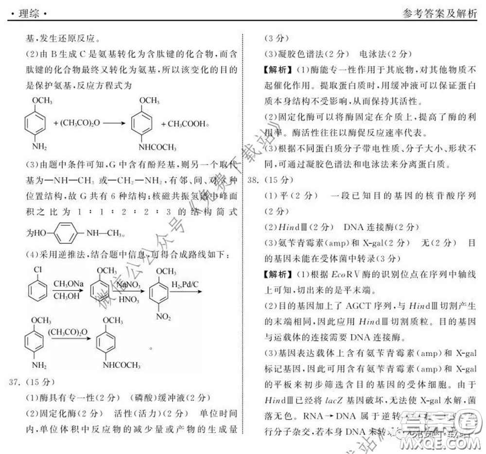 河北衡水中學(xué)2020屆全國(guó)高三第二次聯(lián)合考試?yán)砭C答案