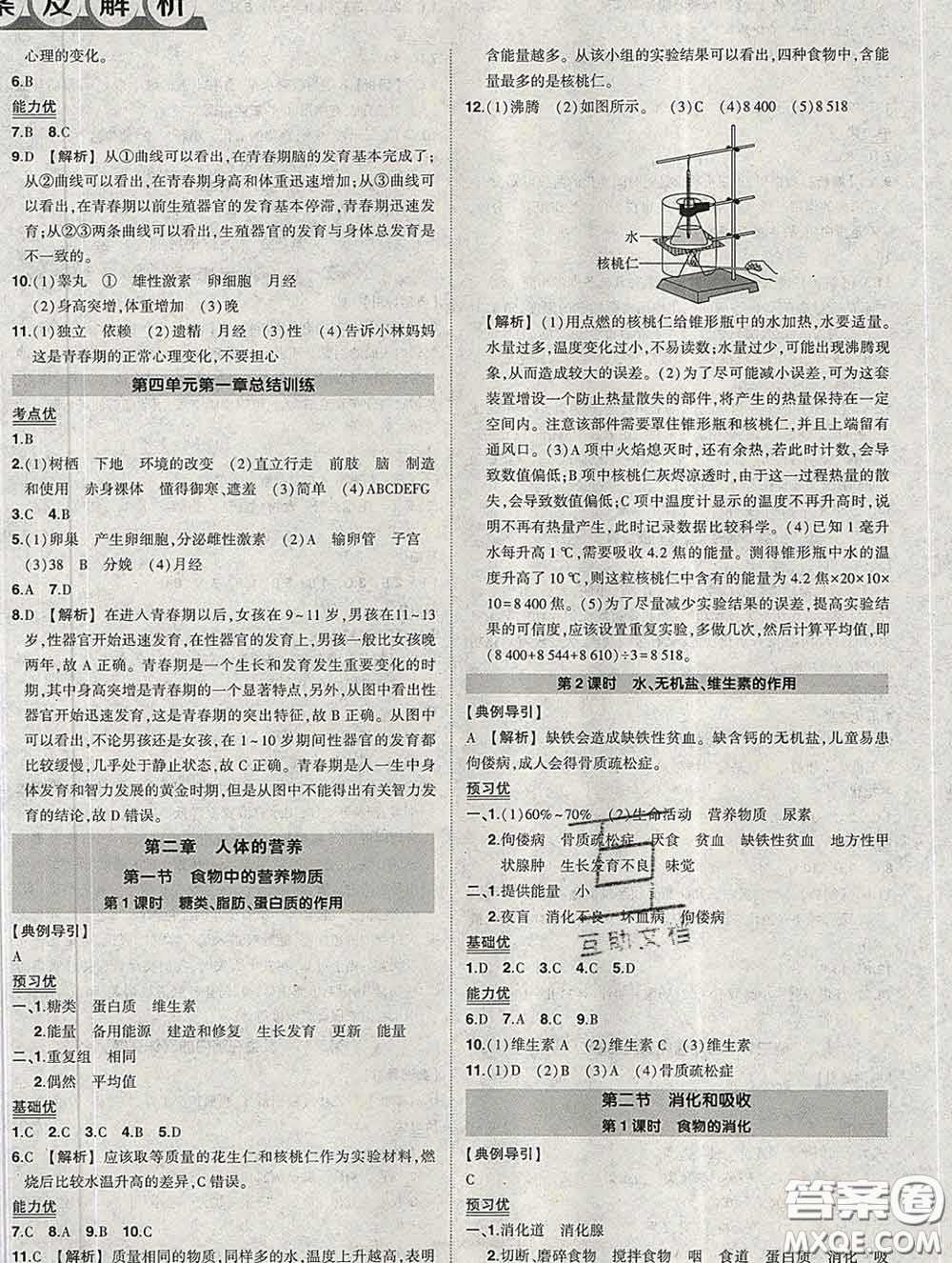 狀元成才路2020春創(chuàng)優(yōu)作業(yè)七年級生物下冊人教版答案