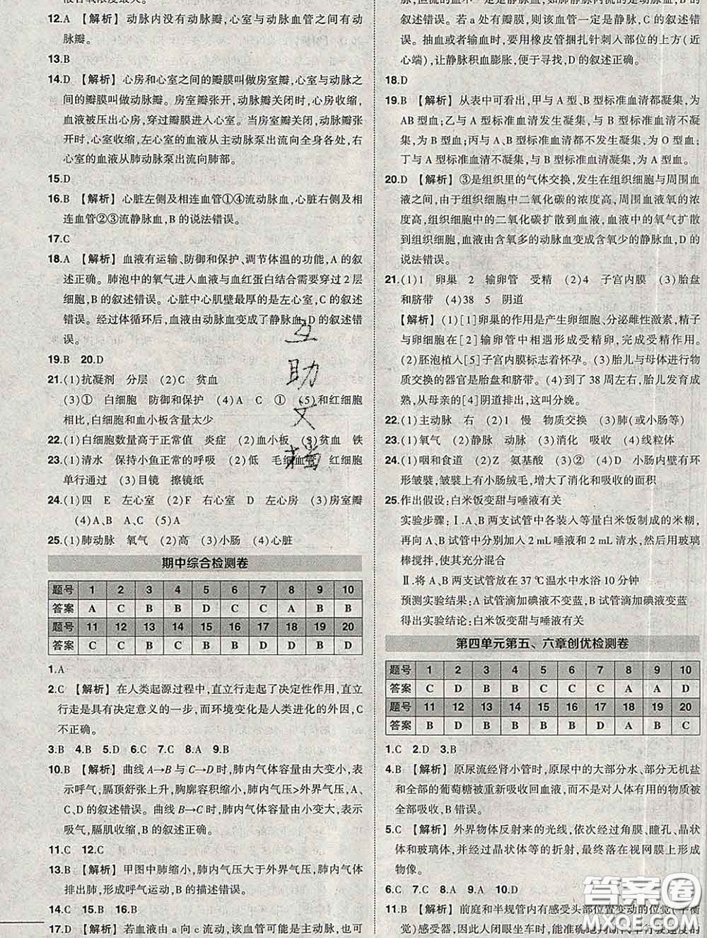 狀元成才路2020春創(chuàng)優(yōu)作業(yè)七年級生物下冊人教版答案