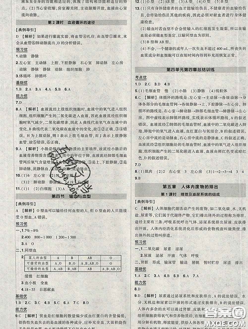 狀元成才路2020春創(chuàng)優(yōu)作業(yè)七年級生物下冊人教版答案