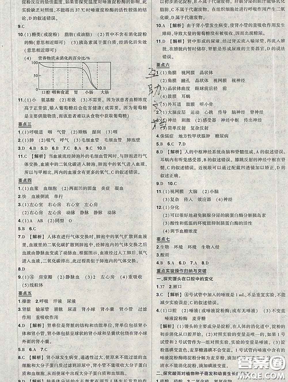 狀元成才路2020春創(chuàng)優(yōu)作業(yè)七年級生物下冊人教版答案