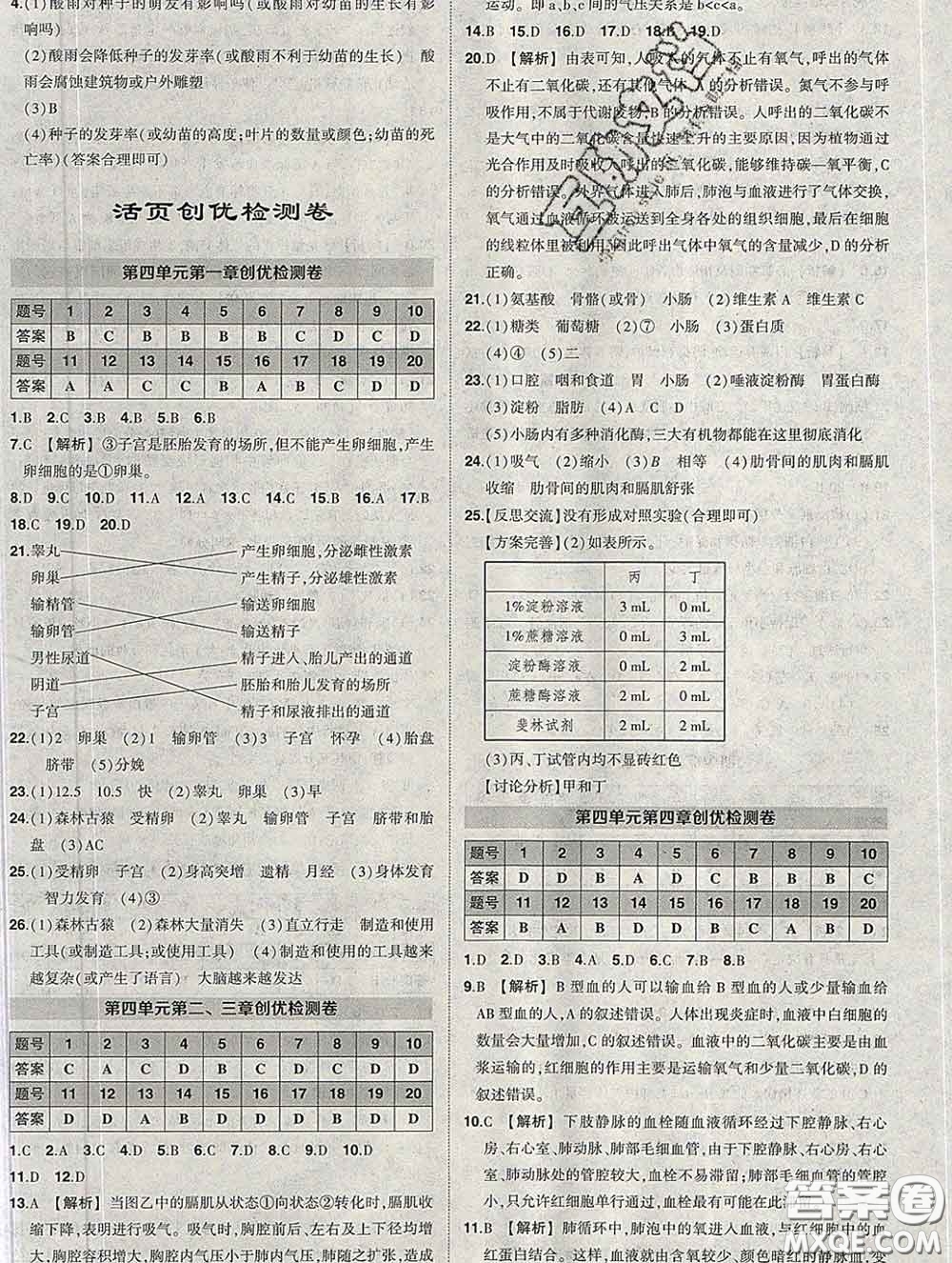 狀元成才路2020春創(chuàng)優(yōu)作業(yè)七年級生物下冊人教版答案