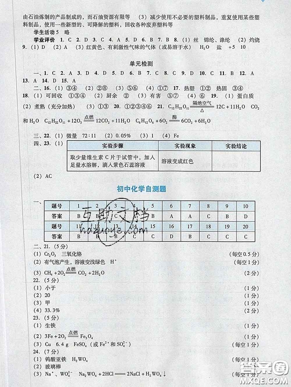 2020新版陽光學業(yè)評價九年級化學下冊人教版參考答案