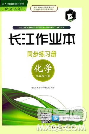 2020年長江作業(yè)本同步練習(xí)化學(xué)九年級下冊人教版參考答案