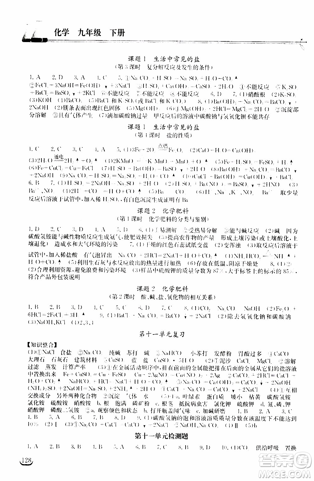 2020年長江作業(yè)本同步練習(xí)化學(xué)九年級下冊人教版參考答案