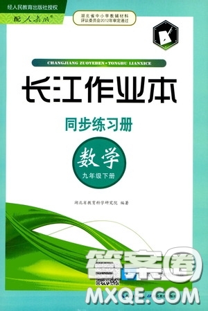 2020年長江作業(yè)本同步練習(xí)數(shù)學(xué)九年級下冊人教版參考答案