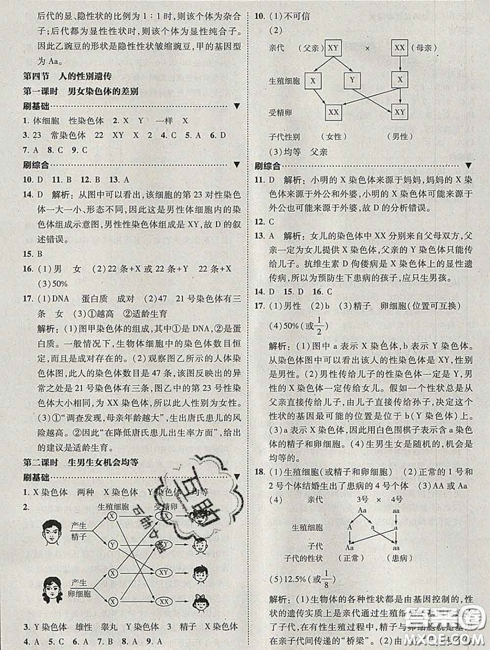 東北師范大學出版社2020春北大綠卡刷題八年級生物下冊人教版答案