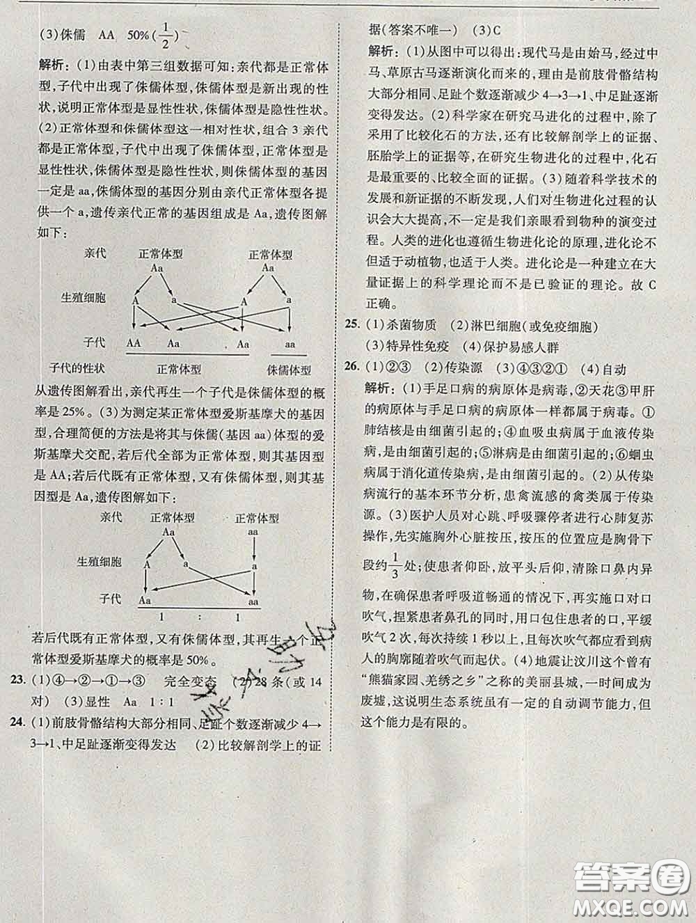 東北師范大學出版社2020春北大綠卡刷題八年級生物下冊人教版答案