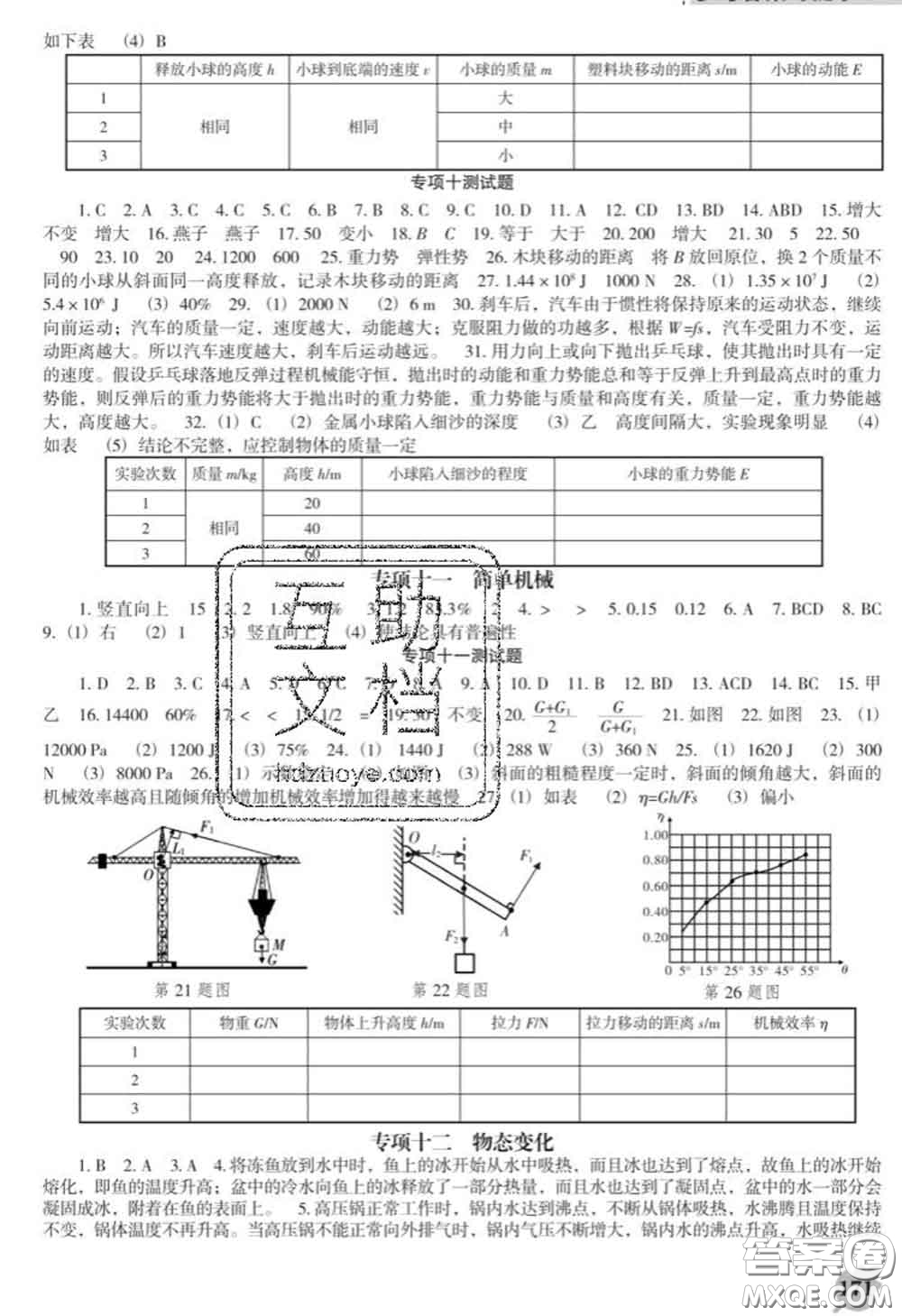 2020新版新課程物理能力培養(yǎng)九年級物理下冊人教版D版答案