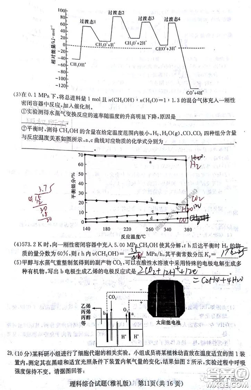 炎德英才大聯(lián)考雅禮中學(xué)2020屆高三月考卷八理科綜合試題及答案