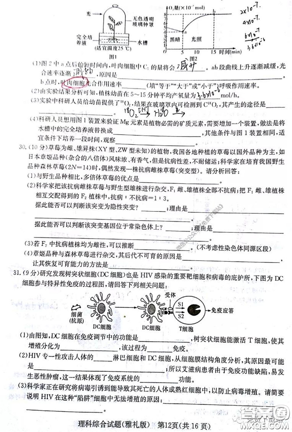 炎德英才大聯(lián)考雅禮中學(xué)2020屆高三月考卷八理科綜合試題及答案