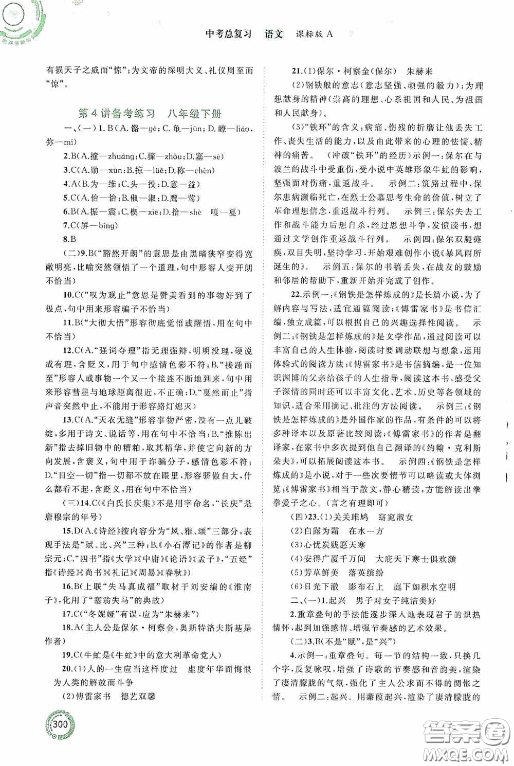 廣西教育出版社2020中考先鋒中考總復(fù)習(xí)語文課標(biāo)版A答案