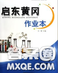 2020新版啟東黃岡作業(yè)本九年級(jí)化學(xué)下冊(cè)人教版答案