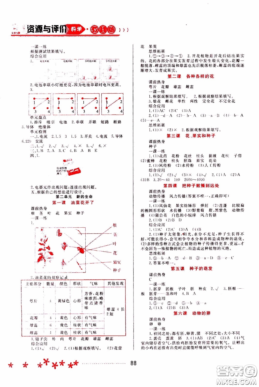 2020年資源與評(píng)價(jià)科學(xué)四年級(jí)下冊(cè)教科版參考答案