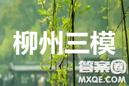 廣西2020年高三畢業(yè)班4月模擬試題理科數(shù)學(xué)答案