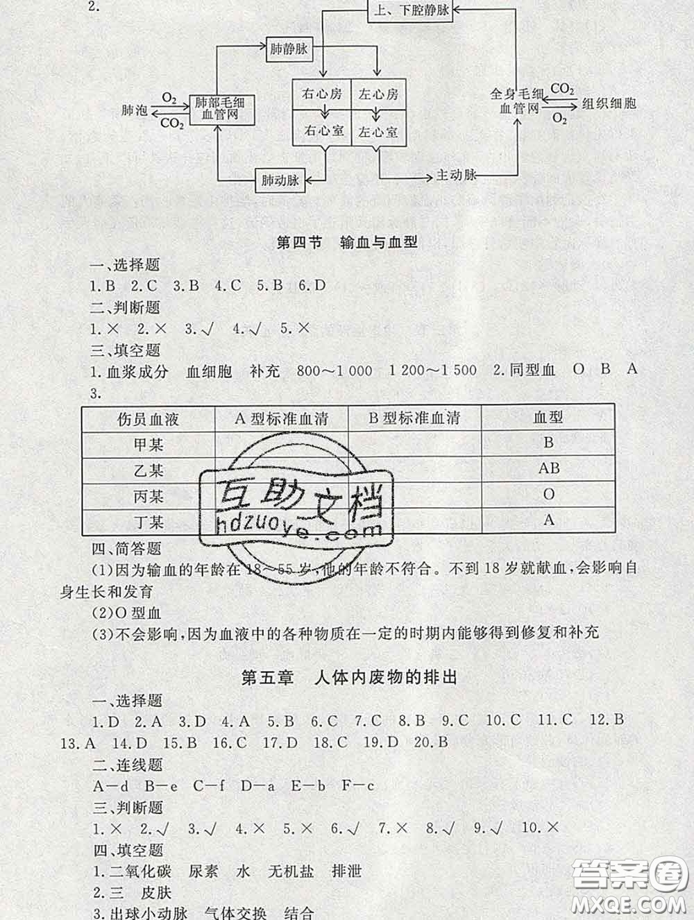 2020春海淀名師伴你學(xué)同步學(xué)練測七年級生物下冊人教版答案