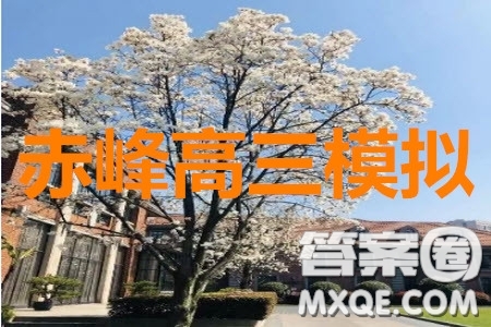 2020年內(nèi)蒙古赤峰市高三4月模擬考試語文試題及答案