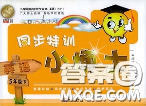 河海大學(xué)出版社2020同步特訓(xùn)小博士五年級(jí)英語人教版下冊答案