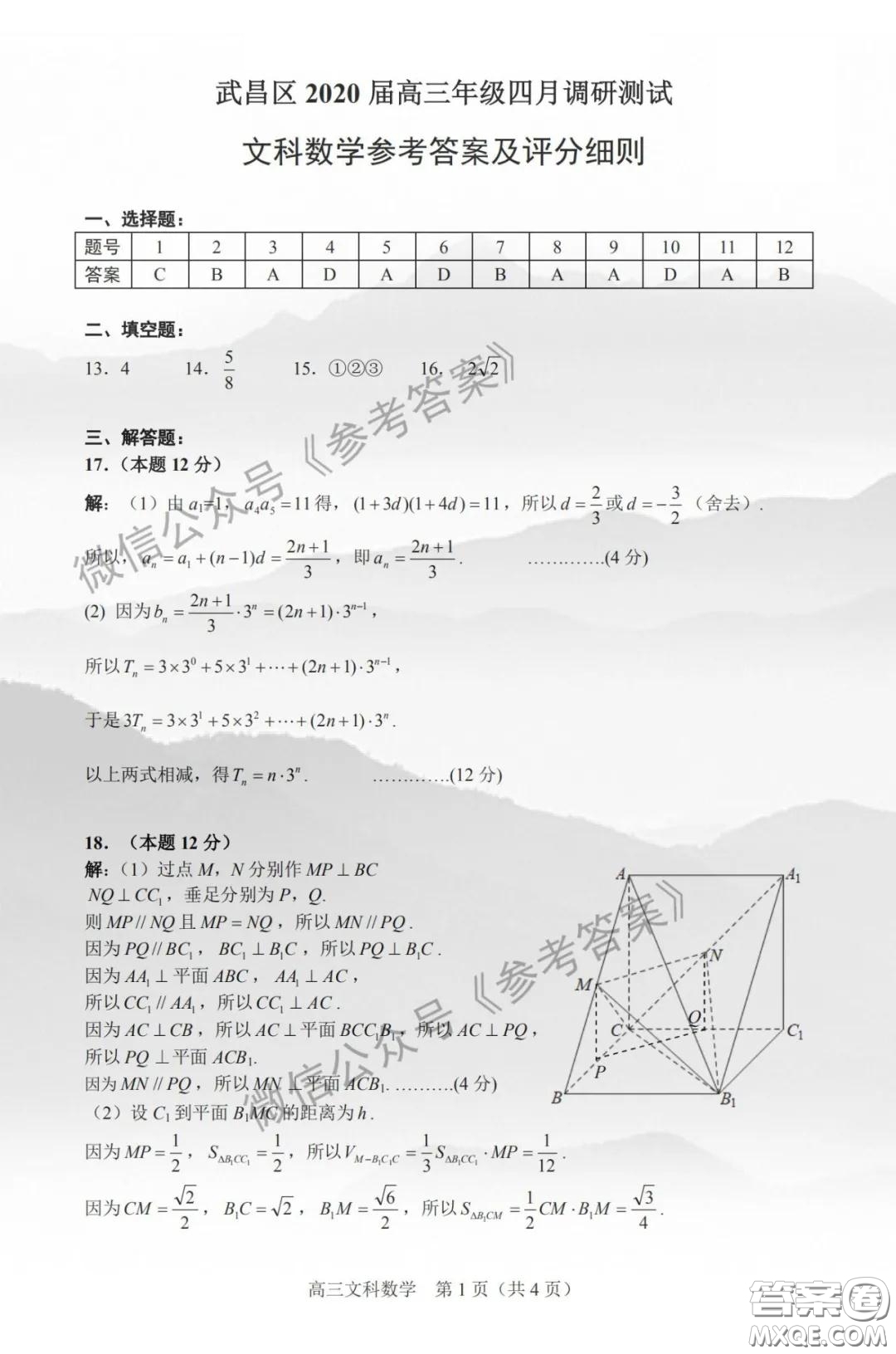 武昌區(qū)2020屆高三年級四月調(diào)考文科數(shù)學(xué)答案