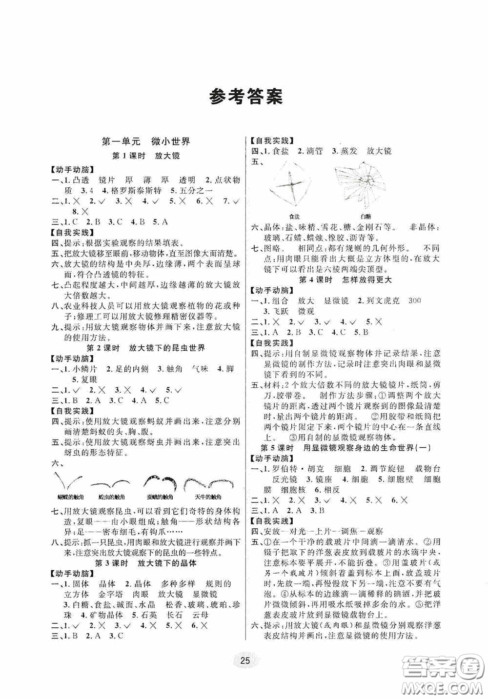 河海大學(xué)出版社2020同步特訓(xùn)小博士六年級(jí)科學(xué)教科版下冊(cè)答案