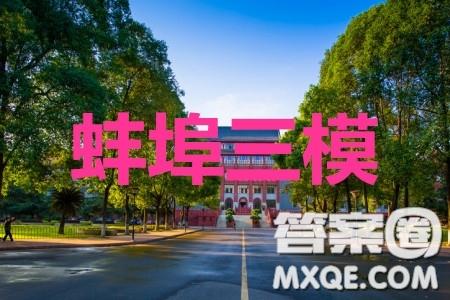 蚌埠市2020屆高三年級第三次教學質量檢查考試數學文史類參考答案