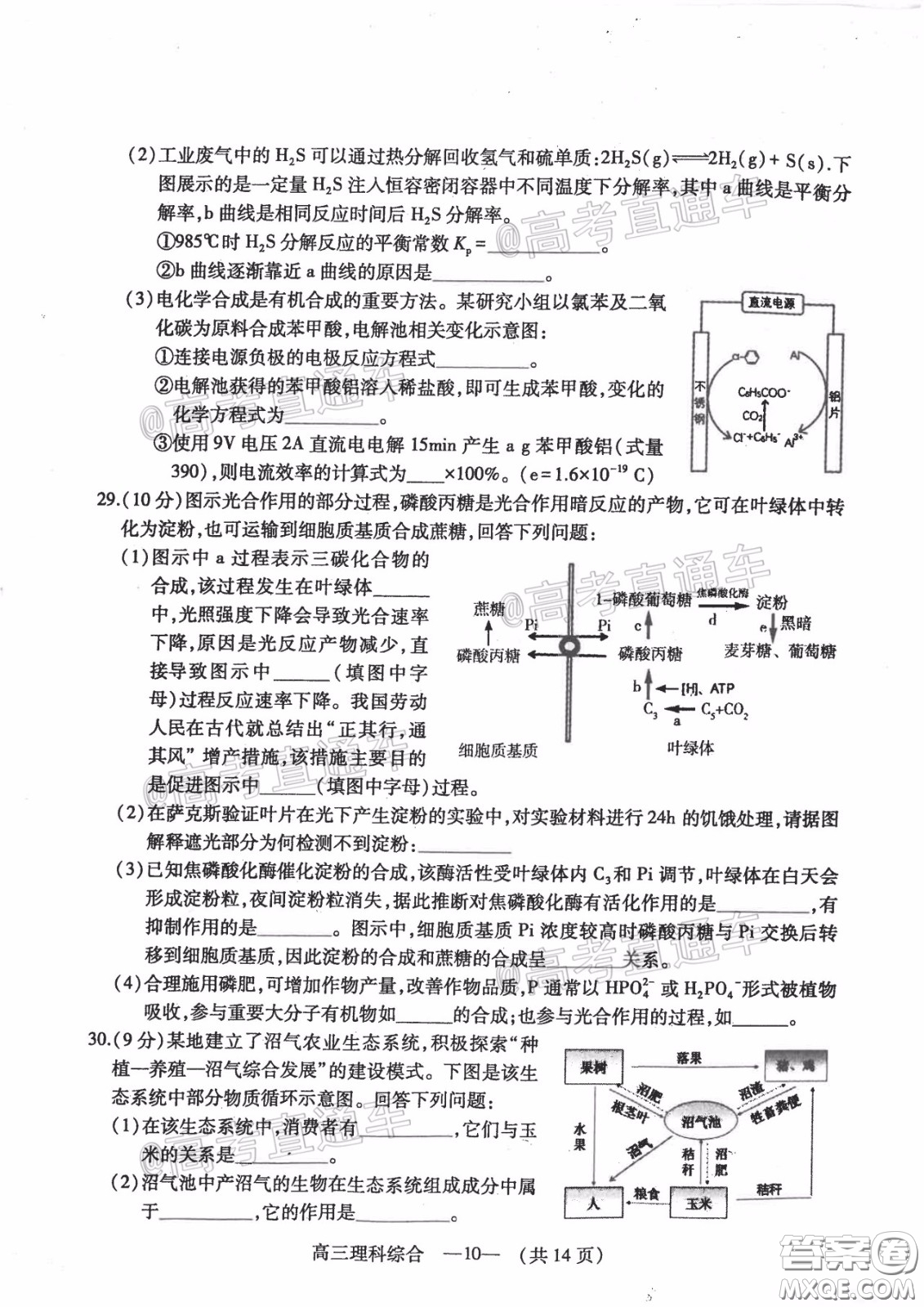 2020年4月福州市高中畢業(yè)班質(zhì)量檢測理科綜合試題及答案