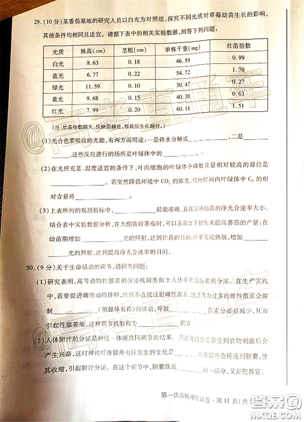 2020年甘肅省第一次高考診斷考試?yán)砜凭C合試題及答案