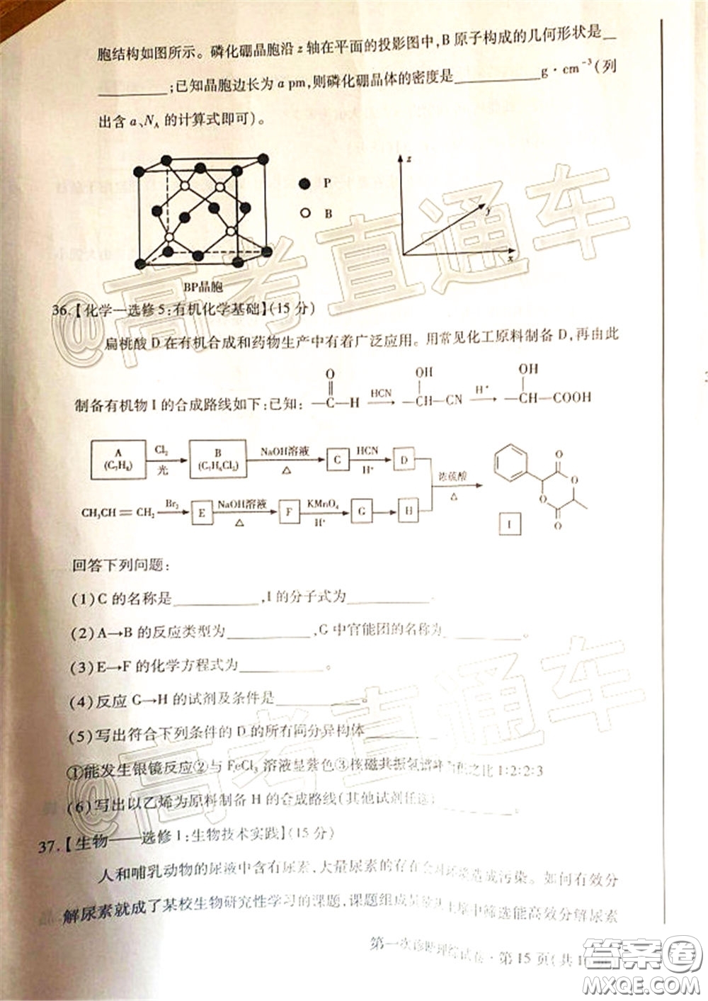 2020年甘肅省第一次高考診斷考試?yán)砜凭C合試題及答案