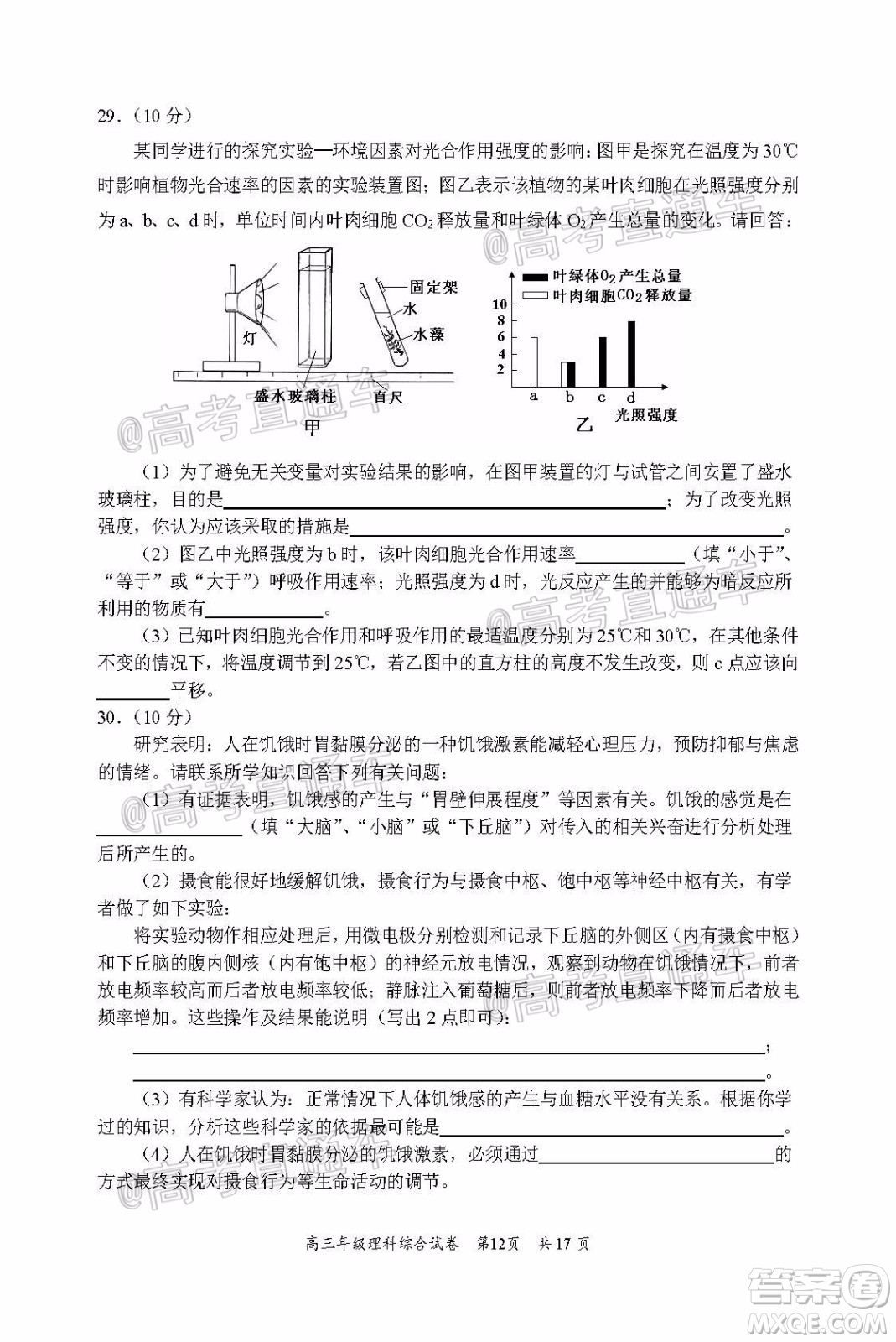 武昌區(qū)2020屆高三年級四月調(diào)考理綜試題及答案